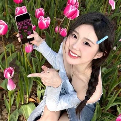 碧窗艳影